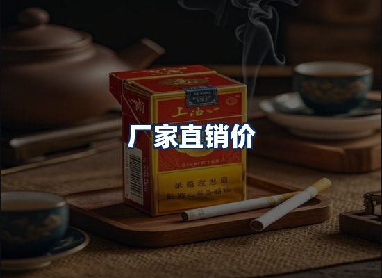 专业团队办公环境